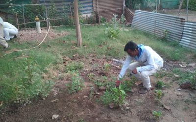 *BHANKHEDI samithi of *HOSHANGABAD district (Madhya Pradesh) does Seva