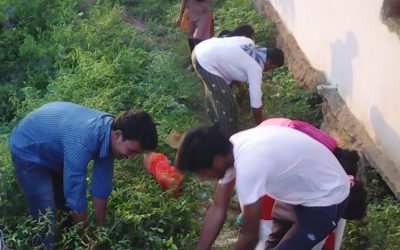 Vantaram samithi of Vizianagaram district (Andhra Pradesh) does Seva