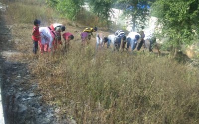 Avanigadda samithi of Krishna district (Andhra Pradesh) does Seva