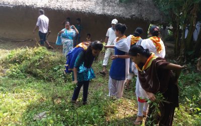 Kendrapara samithi of Kendrapara district (Odisha) does Seva