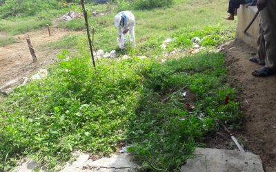 Hanuman Junction samithi of Krishna district (Andhra Pradesh) does Seva