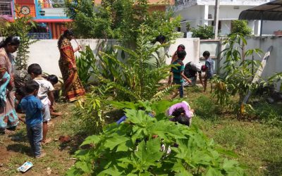 Madugula samithi of Visakhapatnam district (Andhra Pradesh) does Seva