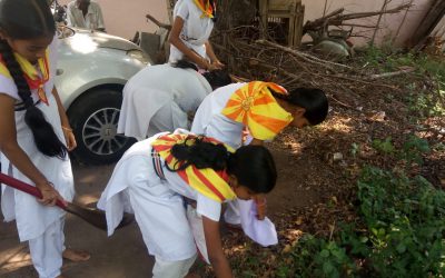 Sitarampuram samithi of Krishna district (Andhra Pradesh) does Seva