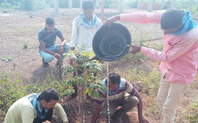 JoghalTembhi samithi of Nasik district (Maharashtra) does Seva