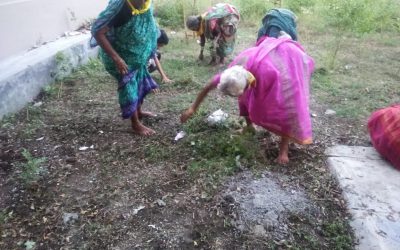Movva samithi of Krishna district (Andhra Pradesh) does Seva
