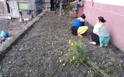 LOHAGARH samithi of DARJEELING(SOUTH) district (West Bengal) does Seva