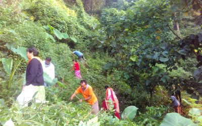 LONGVIEW samithi of DARJEELING(SOUTH) district (West Bengal) does Seva