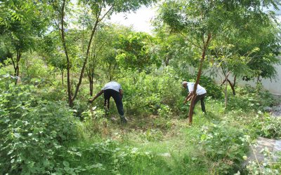 KRISHNAGIRI MAIN samithi of DHARMAPURI district (Tamilnadu) does Seva