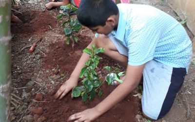 CBDBelapurKharghar samithi of NaviMumbai district (Maharashtra) does Seva