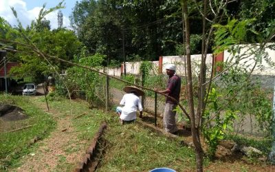 Shoranur samithi of Palakkad district (Kerala) does Seva