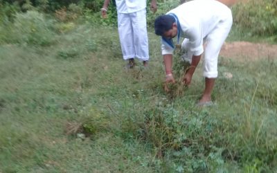 Rairangapur samithi of Mayurbhanj district (Odisha) does Seva