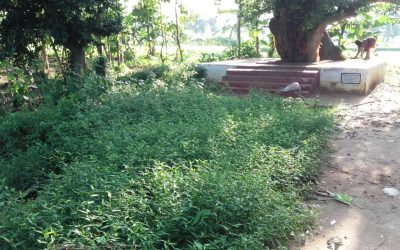 Arasavalli samithi of Srikakulam district (Andhra Pradesh) does Seva