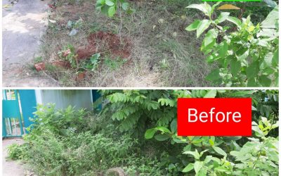 Gopalapatnam samithi of Visakhapatnam district (Andhra Pradesh) does Seva
