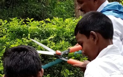 BHEL/BHPV Samithi samithi of Visakhapatnam district (Andhra Pradesh) does Seva