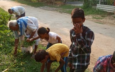 Ghantasala samithi of Krishna district (Andhra Pradesh) does Seva
