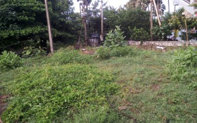 Vuda Colony – VZM samithi of Vizianagaram district (Andhra Pradesh) does Seva