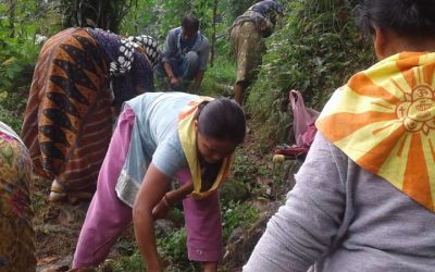 RONGO samithi of DARJEELING(SOUTH) district (West Bengal) does Seva