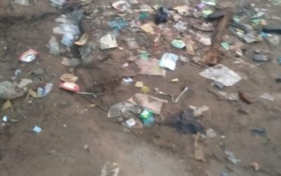 B J Puram samithi of Vizianagaram district (Andhra Pradesh) does Seva