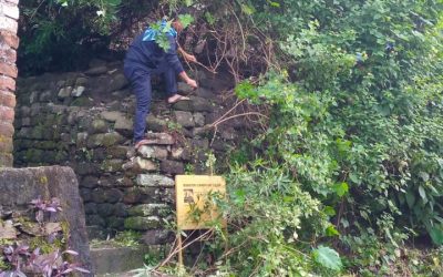 LONGVIEW samithi of DARJEELING(SOUTH) district (West Bengal) does Seva