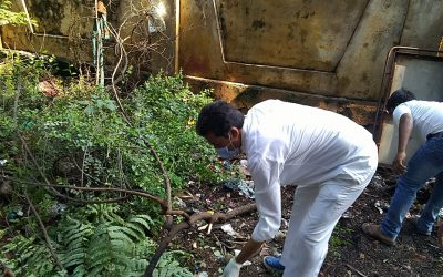 Bhavani Nagar Unit samithi of Chittoor district (Andhra Pradesh) does Seva