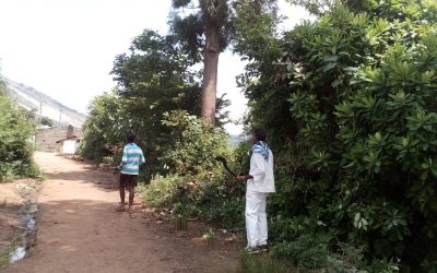 Paderu samithi of Paderu district (Andhra Pradesh) does Seva