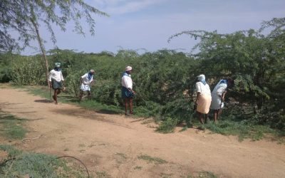 Roddam samithi of Anantapur district (Andhra Pradesh) does Seva