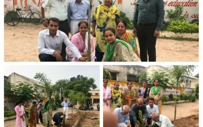 RAJPURA samithi of PATIALA district (Punjab) does Seva
