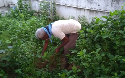 Chittoor samithi of Chittoor district (Andhra Pradesh) does Seva