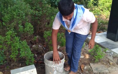 Tiruvuru samithi of Krishna district (Andhra Pradesh) does Seva