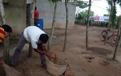 Chandbali samithi of Bhadrak2 district (Odisha) does Seva