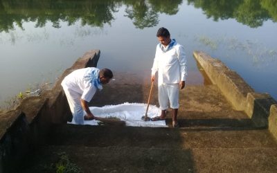 Koliana samithi of Mayurbhanj district (Odisha) does Seva