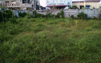 Vuda Colony – VZM samithi of Vizianagaram district (Andhra Pradesh) does Seva