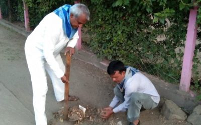 ATARI samithi of *BETUL district (Madhya Pradesh) does Seva
