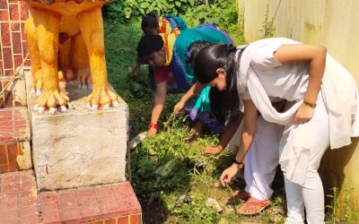 Kujang samithi of Jagatsinghpur district (Odisha) does Seva