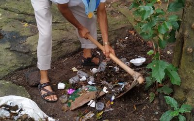 Sai Nandan samithi of Bhubaneswar district (Odisha) does Seva