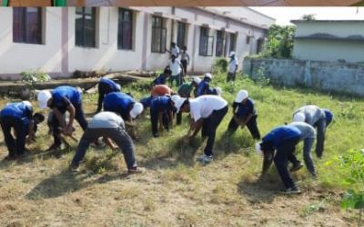 Palasa samithi of Srikakulam district (Andhra Pradesh) does Seva