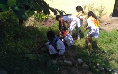 Produttur samithi of Kadapa district (Andhra Pradesh) does Seva