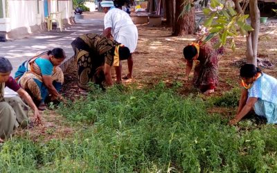 Pulivendula samithi of Kadapa district (Andhra Pradesh) does Seva