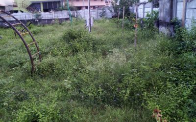 Vuda Colony – VZM samithi of Vizianagaram district (Andhra Pradesh) does Seva