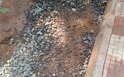 Sriram Nagar Samithi samithi of East Godavari district (Andhra Pradesh) does Seva