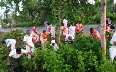 Konark samithi of Puri district (Odisha) does Seva