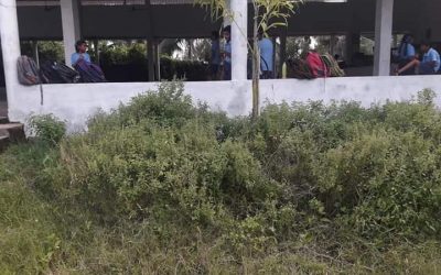 Palakollu-2 samithi of West Godavari district (Andhra Pradesh) does Seva