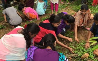 Tirupati samithi of Chittoor district (Andhra Pradesh) does Seva