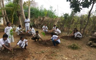 Gudur samithi of Nellore district (Andhra Pradesh) does Seva