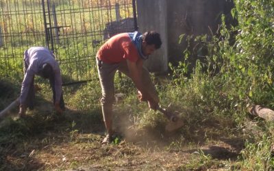 MANDI SEONI samithi of *CHHINDWARA district (Madhya Pradesh) does Seva