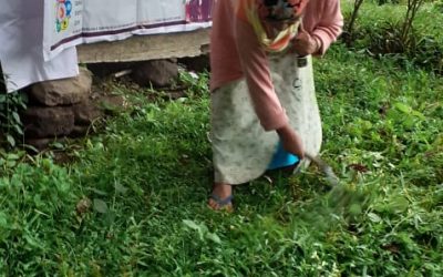 GAIRIBAS samithi of DARJEELING(SOUTH) district (West Bengal) does Seva