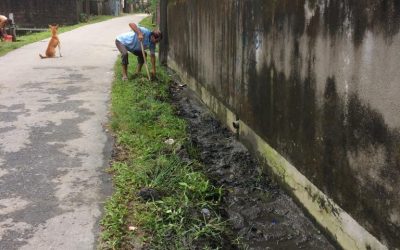 KOLABARI samithi of DARJEELING(SOUTH) district (West Bengal) does Seva