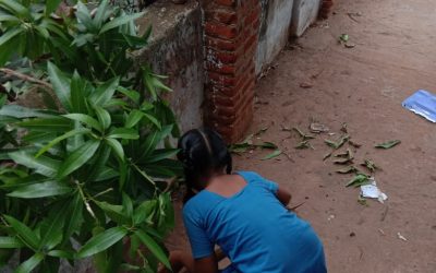 Kavali samithi of Nellore district (Andhra Pradesh) does Seva