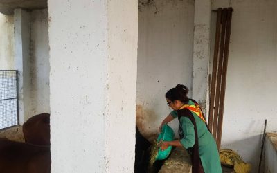 PATHANKOT samithi of PATHANKOT district (Punjab) does Seva