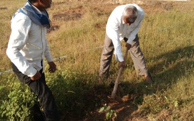 ATARI samithi of *BETUL district (Madhya Pradesh) does Seva